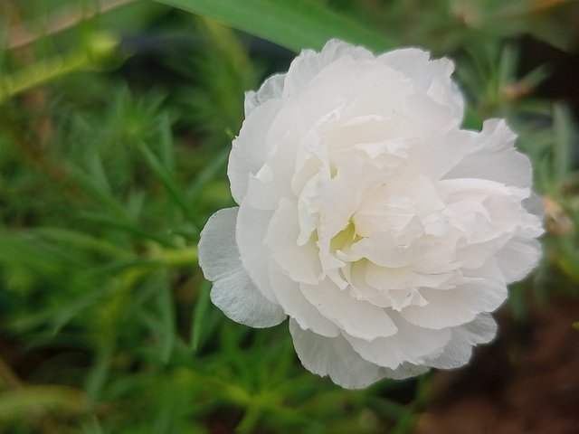 IMG20240608122555.jp