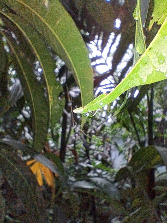 20250609_182216.jpg