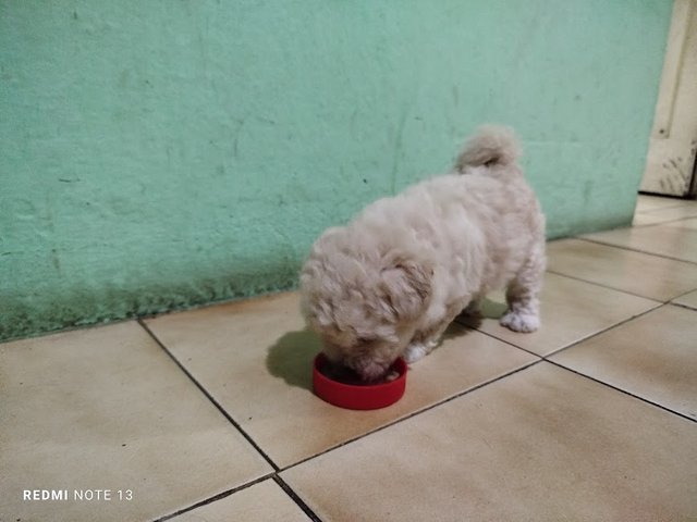 cena2.jpg