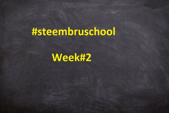 steembruschool2.jpg