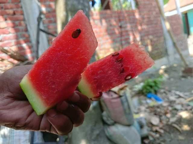 IMG_20250410_211612.jpg