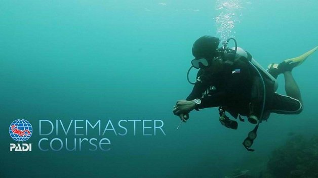 dive-master-course.jpg