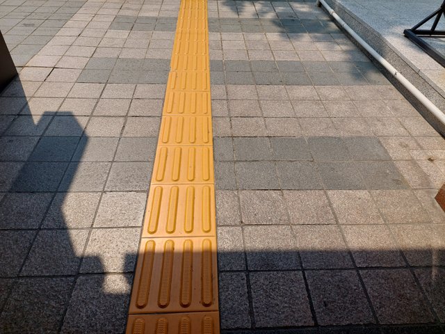 20250729_144229.jpg