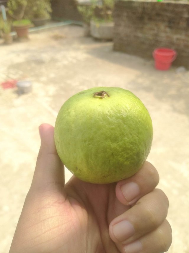 received_164254449917381.jpeg