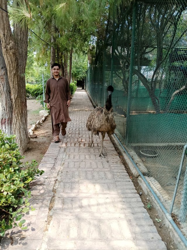 WhatsApp Image 2025-07-25 at 11.02.24_520405c3.jpg
