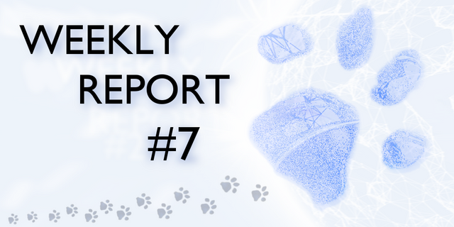 weekly report 7 v1.png