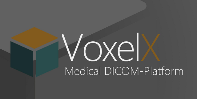 Voxelx+Review.png