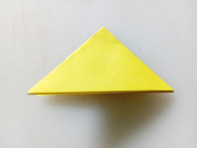 1000038558.jpg