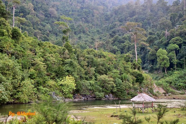 Gubuk dan Hutan (2).JPG