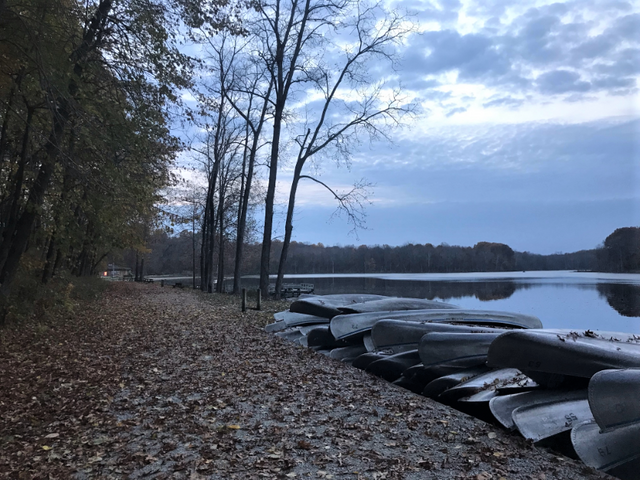 dog walk canoes (2).png