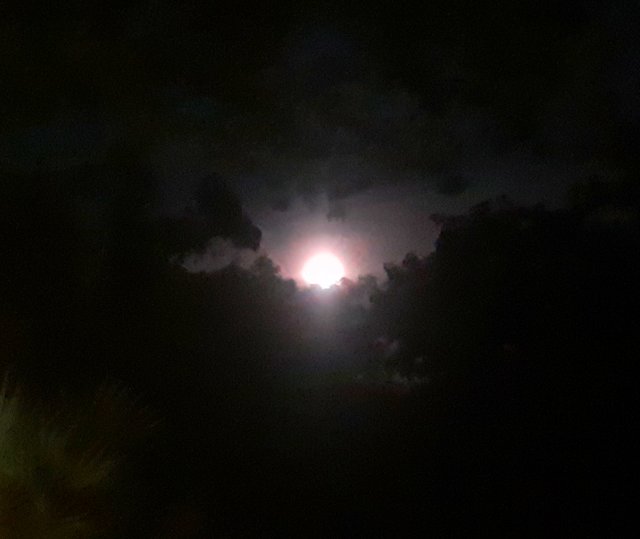 20220713_213929.jpg