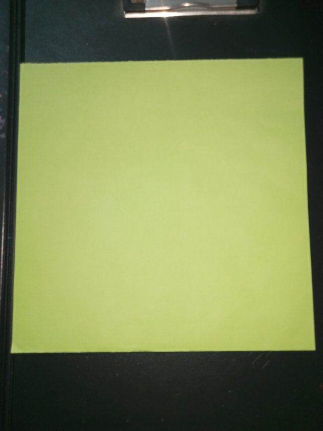 1000029155.jpg