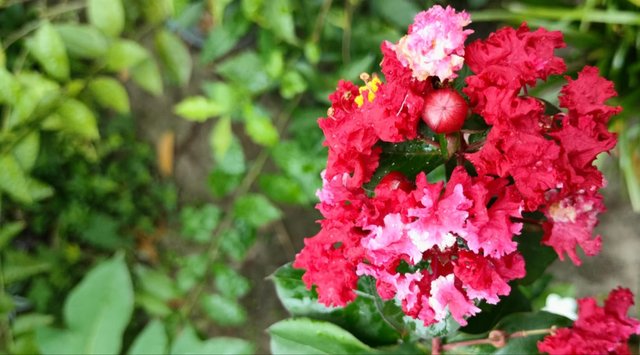 IMG_20250922_233509.jpg