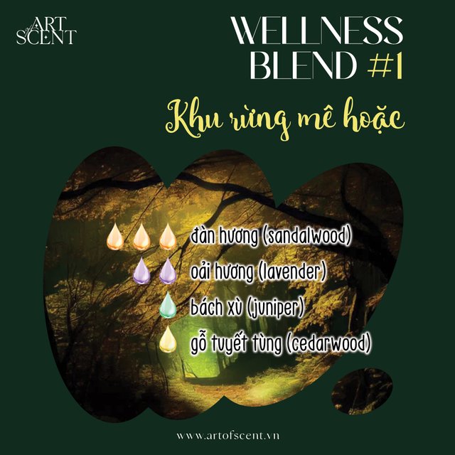 AOS - Wellness Blend1.jpg