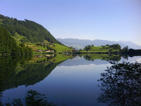 lake-lungern-near-the.jpg