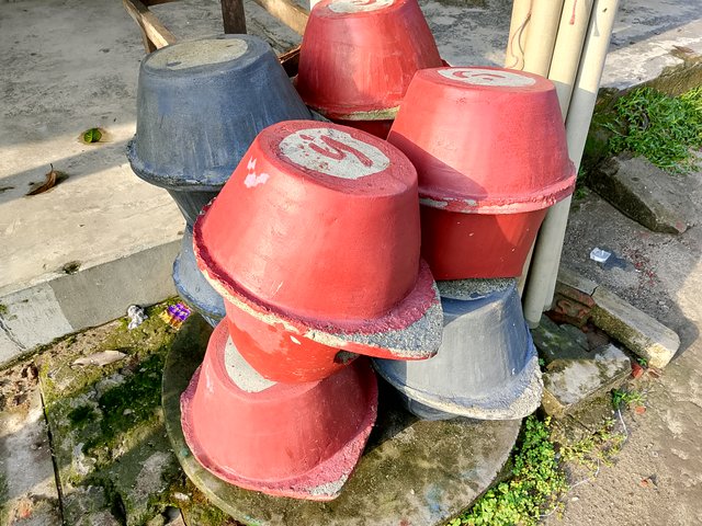 1000040385.jpg