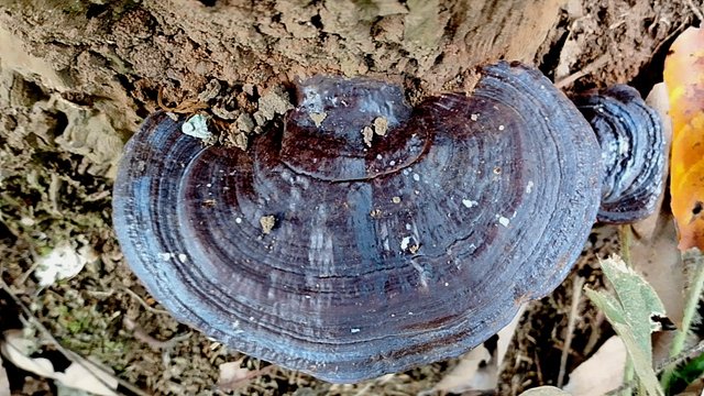 IMG_20250705_095852.jpg