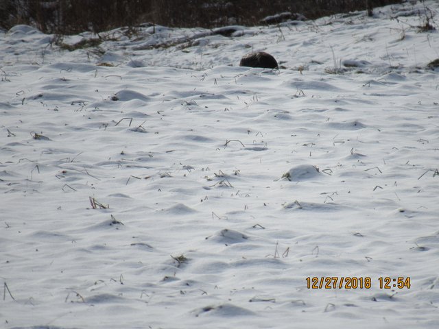 IMG_0198.JPG