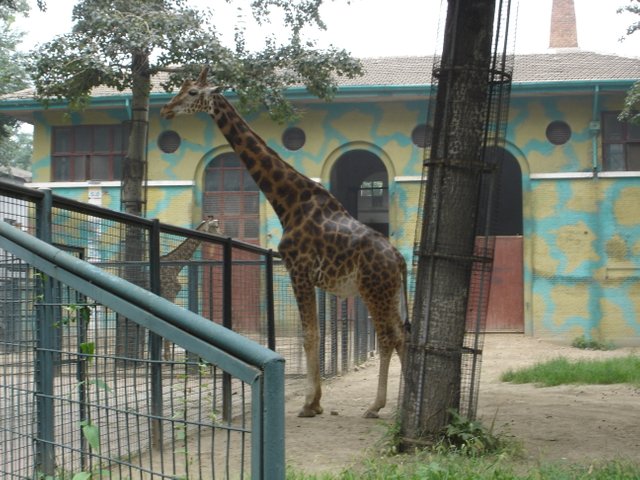 DSC04869.JPG