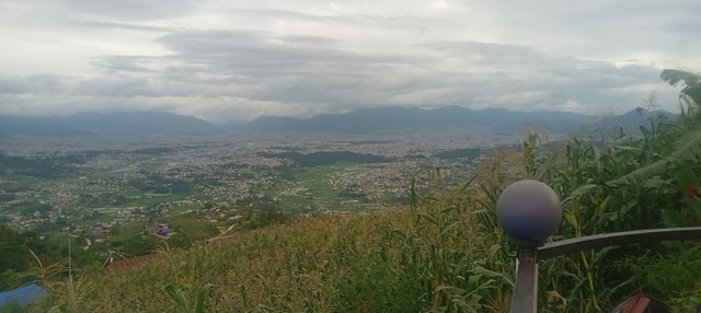 20250716_174142.jpg