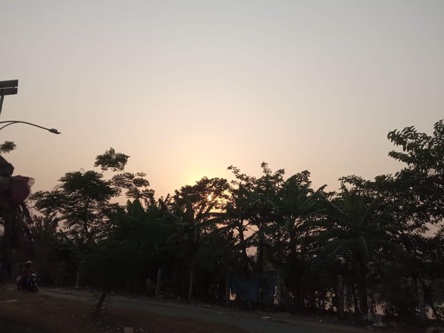 প্রকৃতি (3).jpg