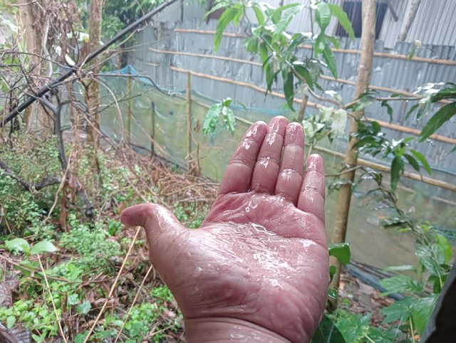 IMG20250516171226.jpg