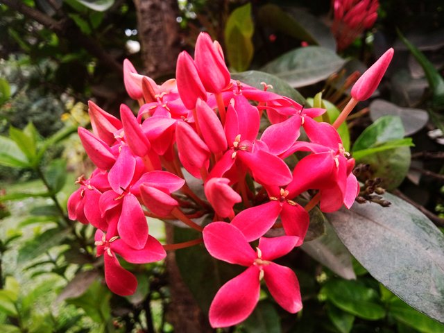 IMG_20250509_143641.jpg