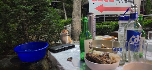 KakaoTalk_20250726_192157892_02.jpg