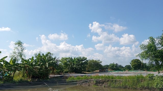 IMG_20240829_145529_3.jpg