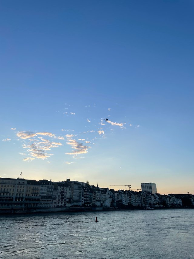 IMG_7868.jpeg