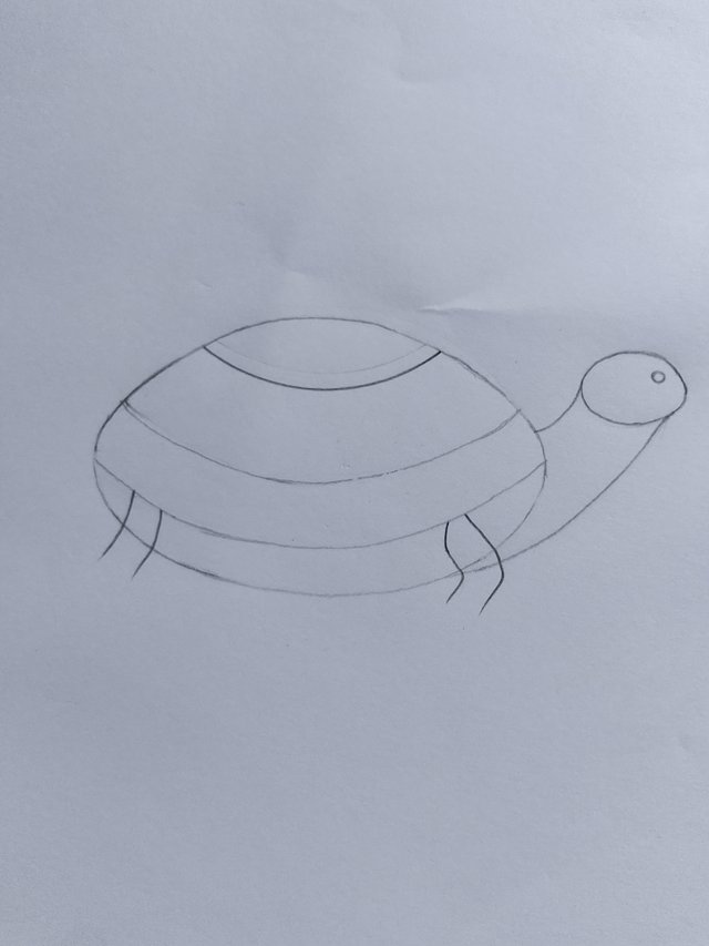 1000053252.jpg