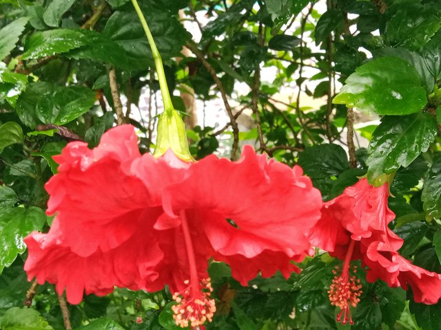 IMG_20250718_225349.jpg