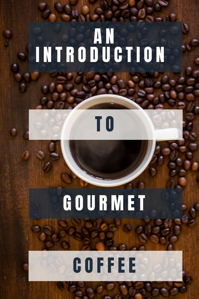 An Introduction To Gourmet Coffee.png