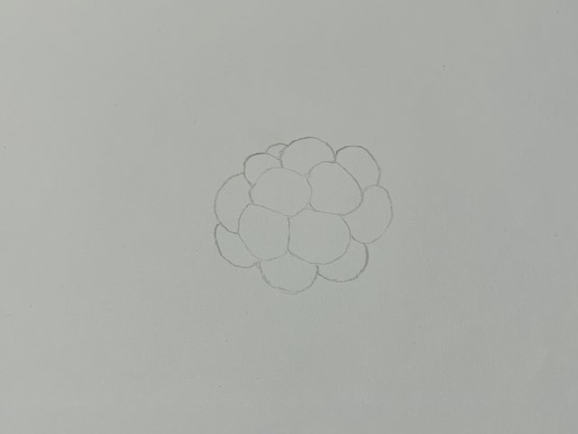 IMG_1883.jpeg