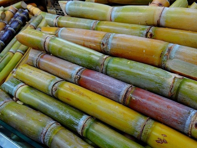 sugar-cane-276242_640.jpg