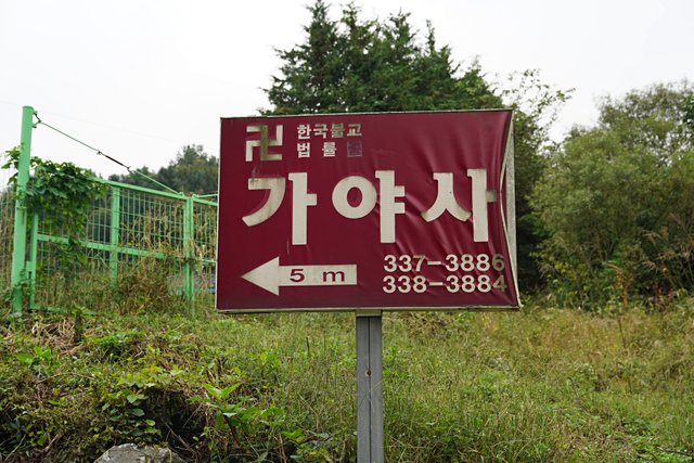 b-DSC05045.JPG