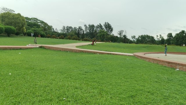 IMG_20240526_165056.jpg