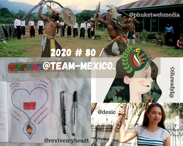 2020 # 80 _ @team-mexico..png