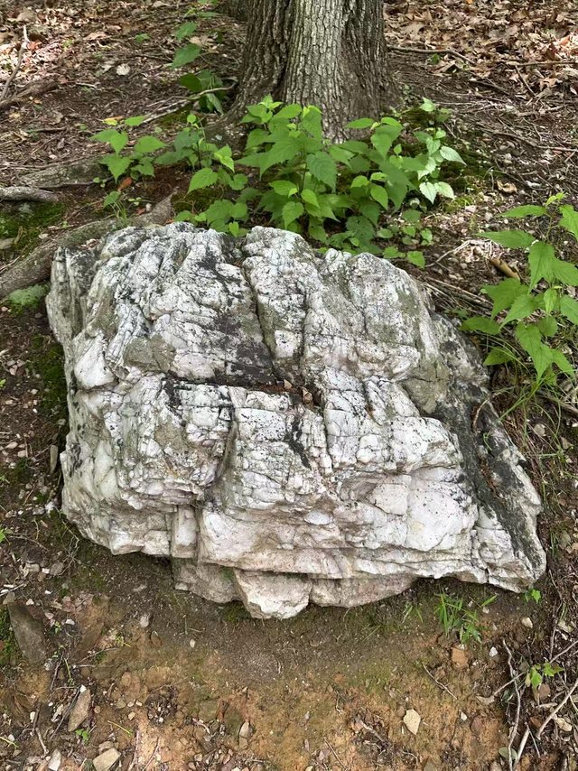 WechatIMG1767.jpg