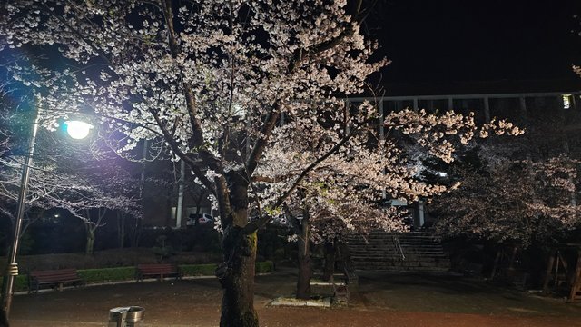 KakaoTalk_20250415_231609770.jpg