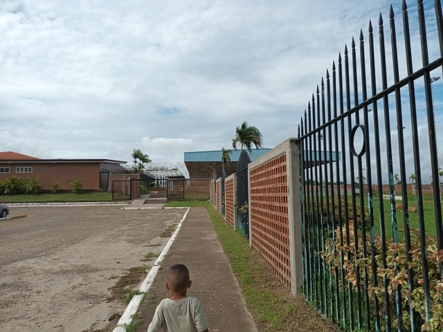 20250629_082911.jpg