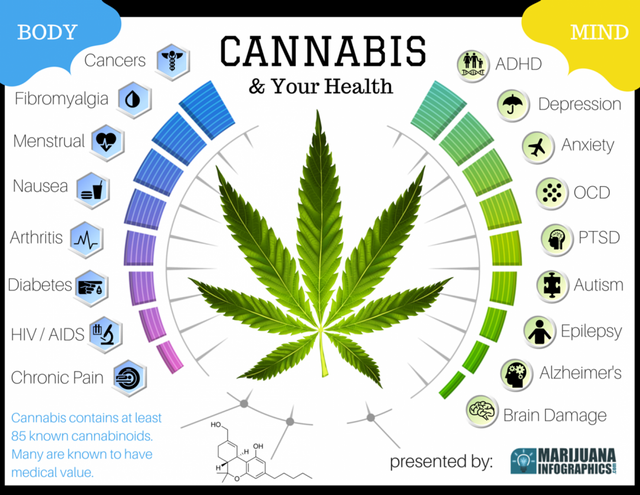 cannabis-and-your-health_56c7439c5b959_w1500.png