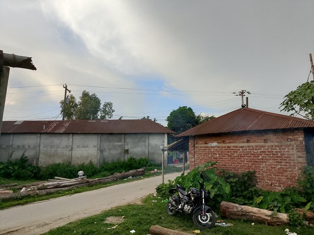 1000046136.jpg