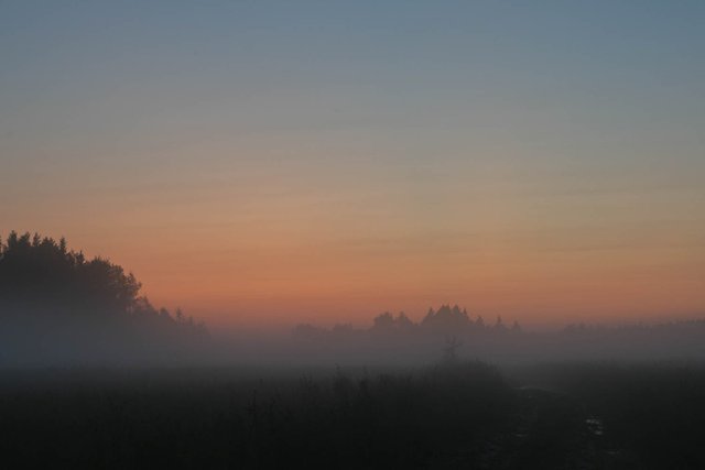 DSC00750.jpg