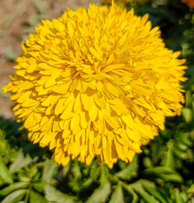 IMG20250209121322.jpg