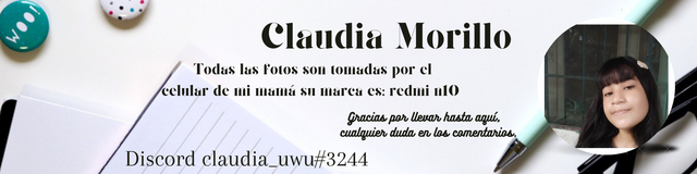 diseño claudia.png