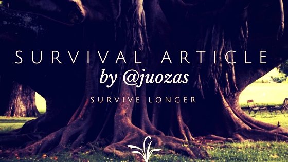 survivalbyjuozas.jpg