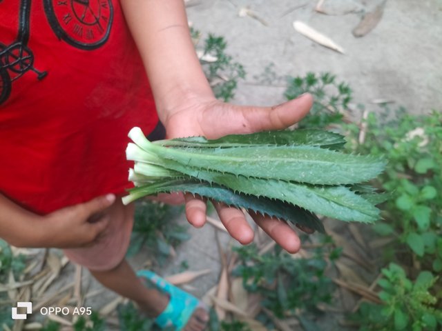 IMG20250321175657.jpg