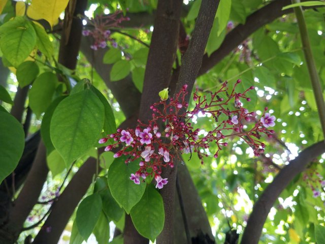 IMG_20250813_140642_615.jpg