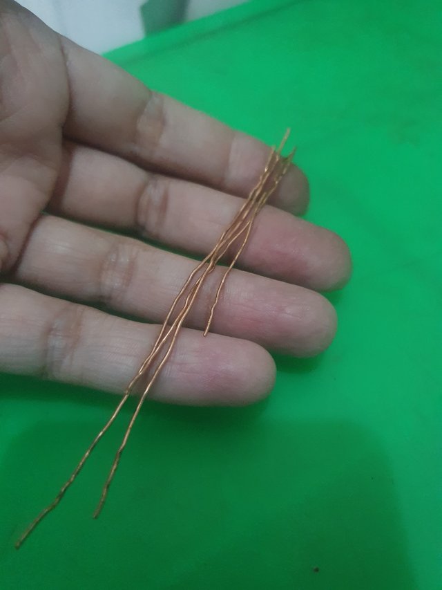 20251001_193531.jpg